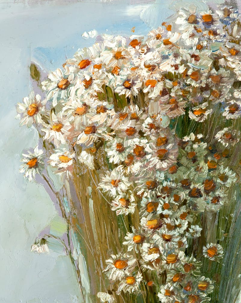 DAISY FLOWERS