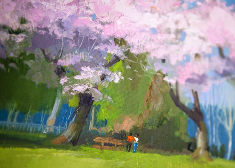 CHERRY BLOSSOM | BURNABY MOUNTAIN PARK