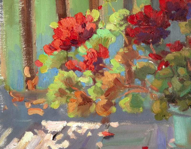 GERANIUM | DEPARTURE SUN