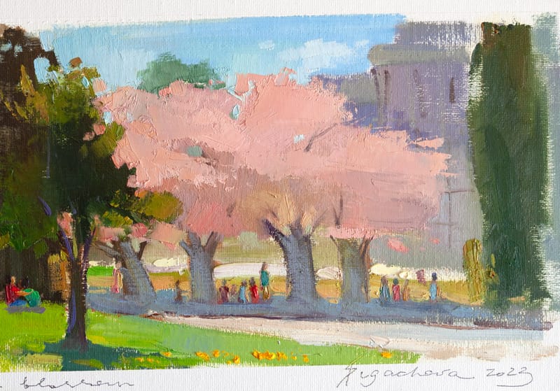 LAST SACURA IN BLOSSOM