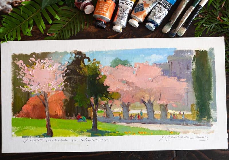 LAST SACURA IN BLOSSOM