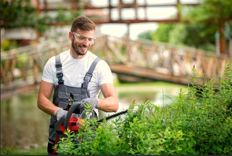 שירותי גינון ופיתוח