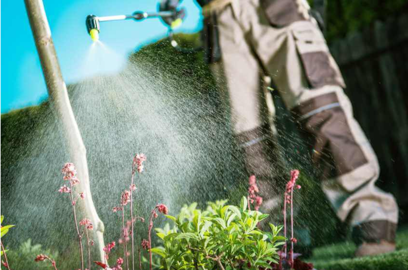 שירותי הדברה