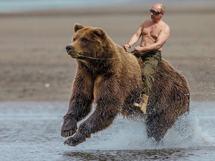 PUSHING PUTIN