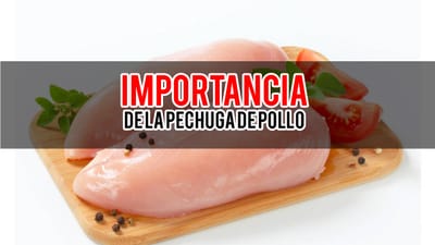 Importancia de comer Pechuga de Pollo