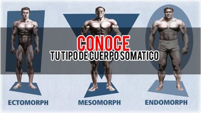 Conoce tu tipo de cuerpo somáticos