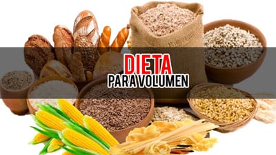 Dieta para etapa de Volumen