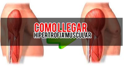Cuantas repeticiones hacer para llegar a la "Hipertrofia Muscular"