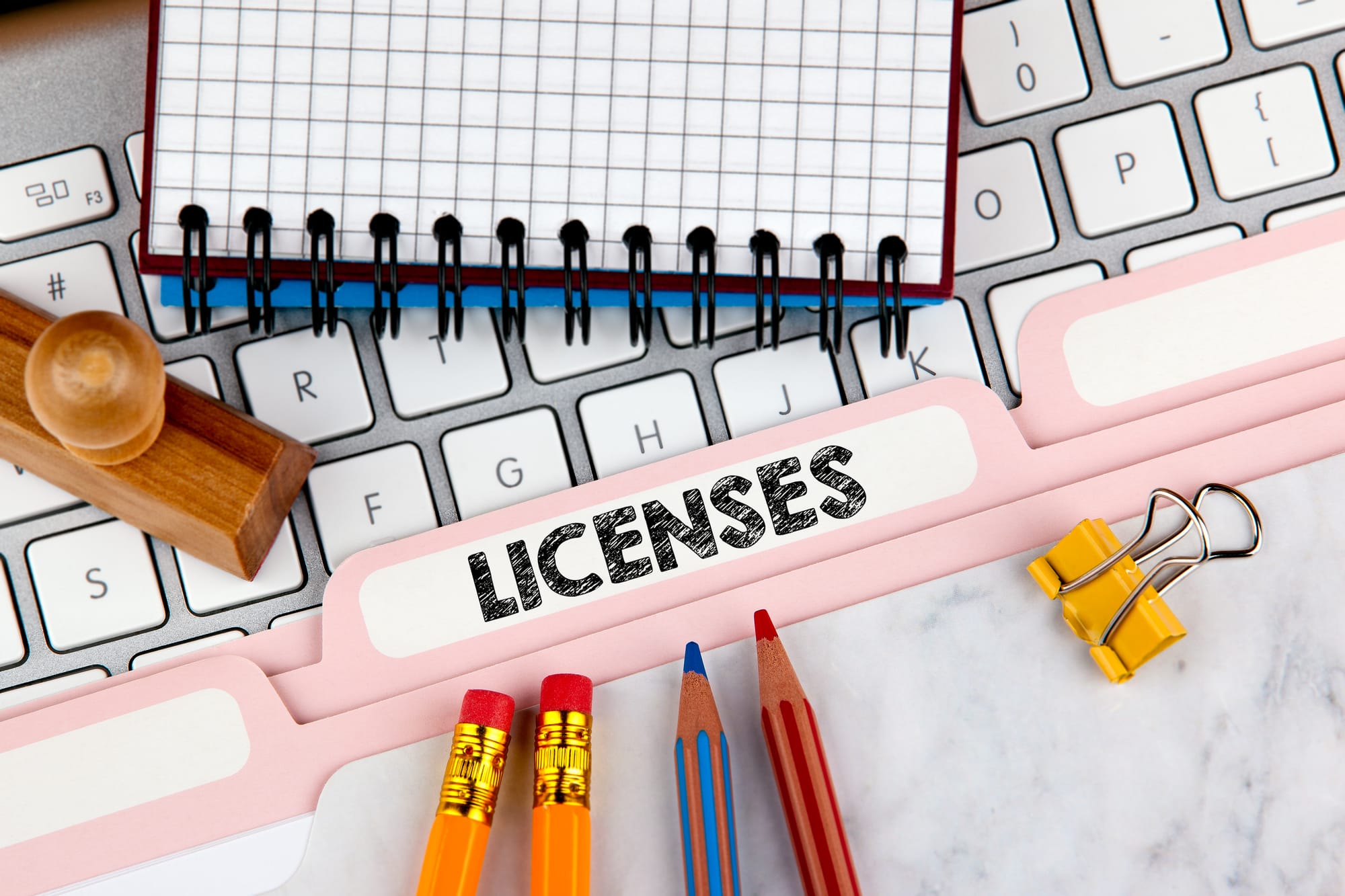 Register the Business and Obtain Necessary Licenses: A Step-by-Step Guide for Solo Entrepreneurs