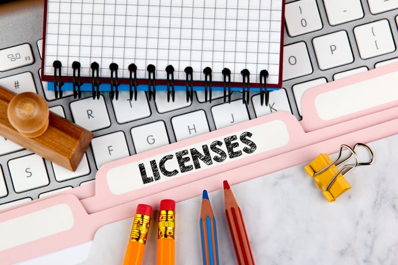 Register the Business and Obtain Necessary Licenses: A Step-by-Step Guide for Solo Entrepreneurs