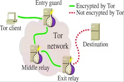 Exploring the Depths: A Journey into the Tor Network