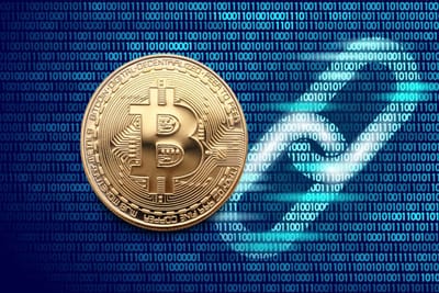 What Is a Private Bitcoin Wallet and How Does It Work?