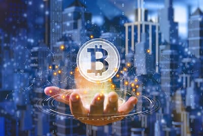 Exploring the World of Anonymous Bitcoin Wallets Online
