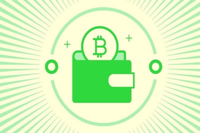 The Evolution of Wallets: Random BTC Wallets Explained