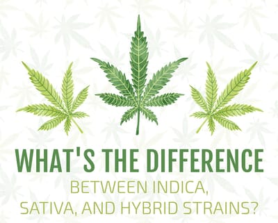 Get the Prescription of Using and Growing Marijuana for Medicinal Purpose