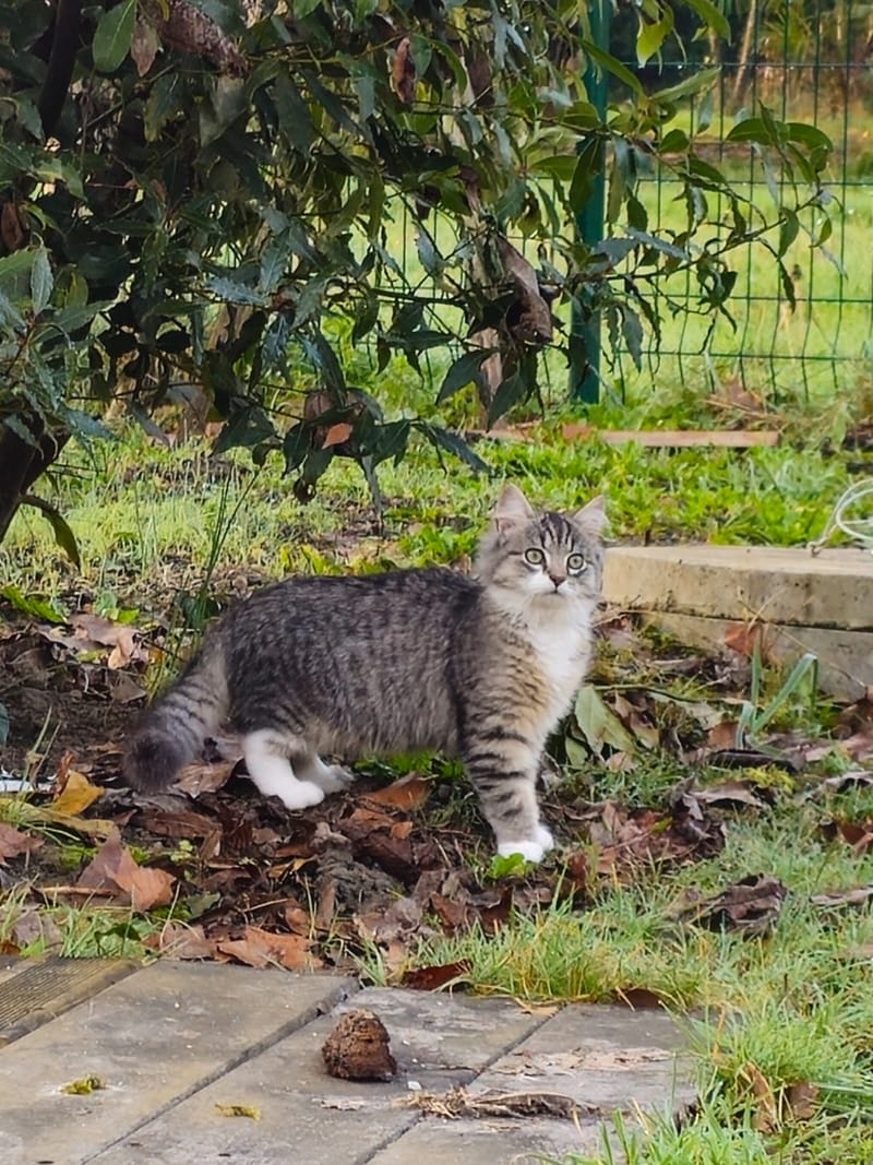 Fripouille est heureux dans sa Famille