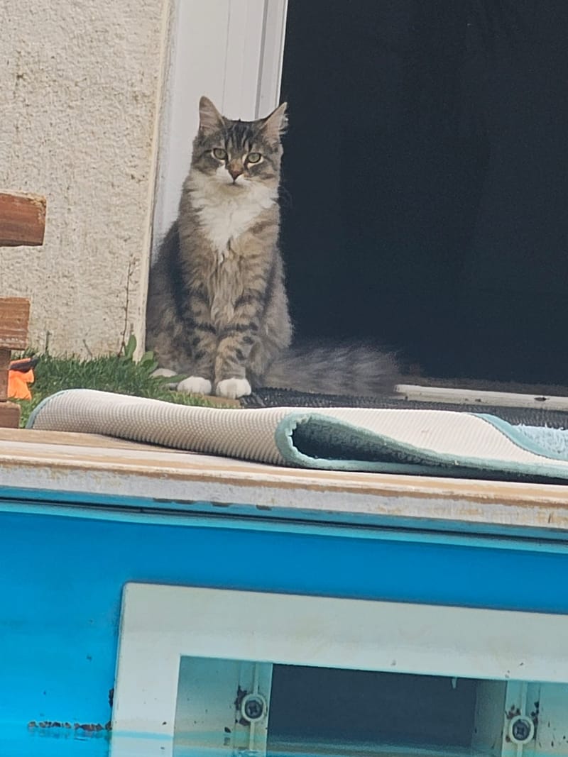 Fripouille est heureux dans sa Famille