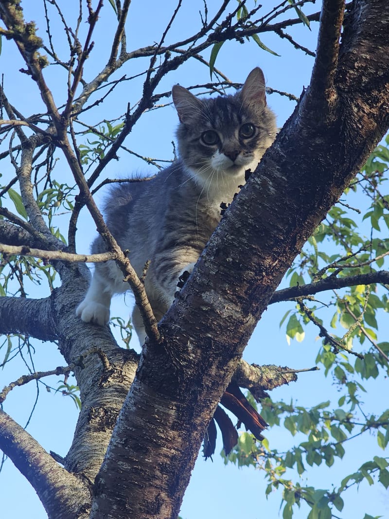 Fripouille est heureux dans sa Famille