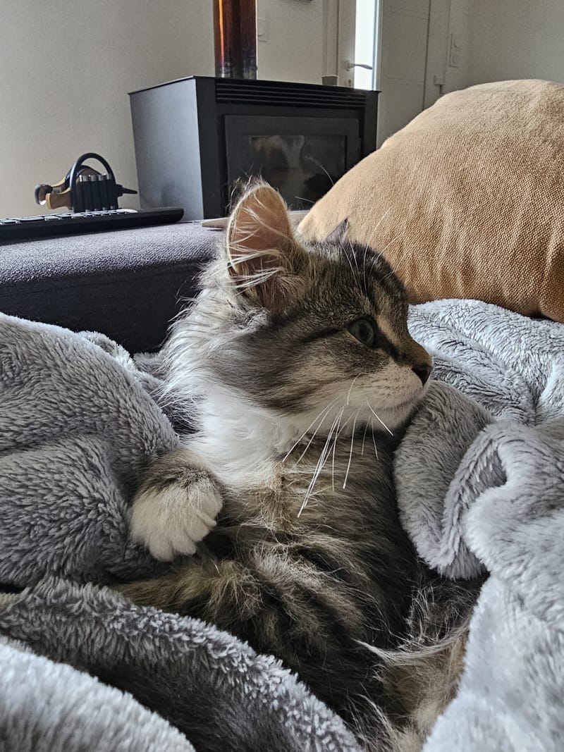 Fripouille est heureux dans sa Famille