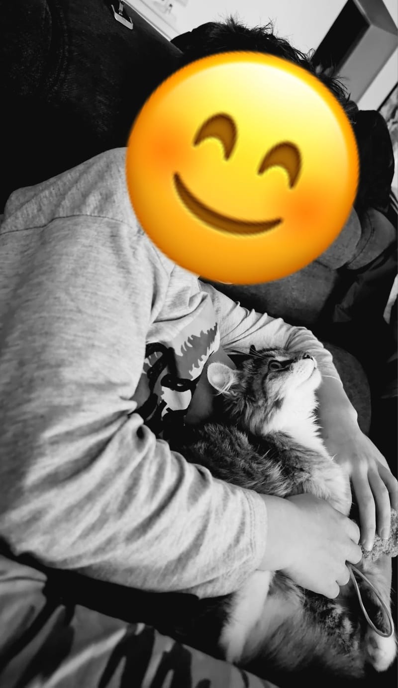 Fripouille est heureux dans sa Famille