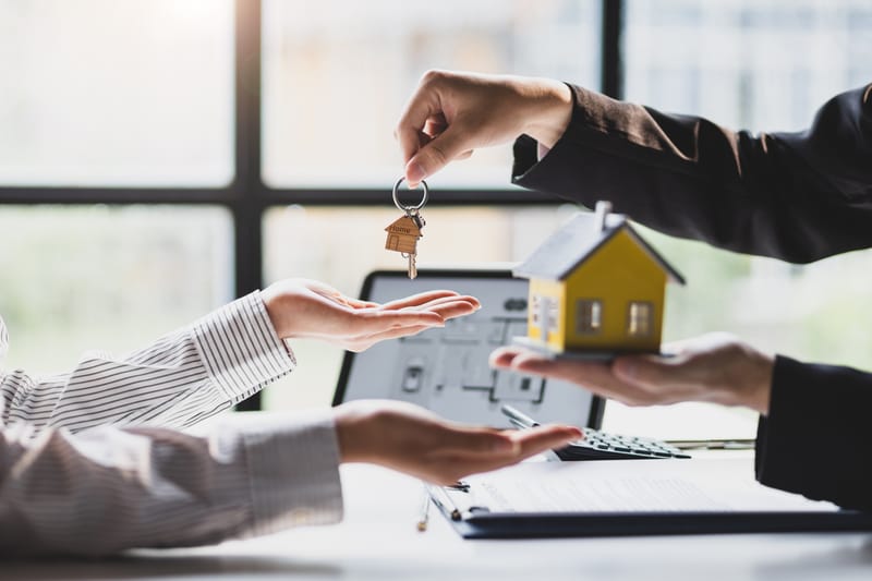 ליווי כולל לפרויקט