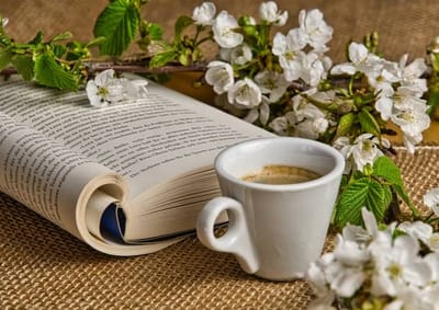 I libri di poesia e narrativa di Giuseppe Palma