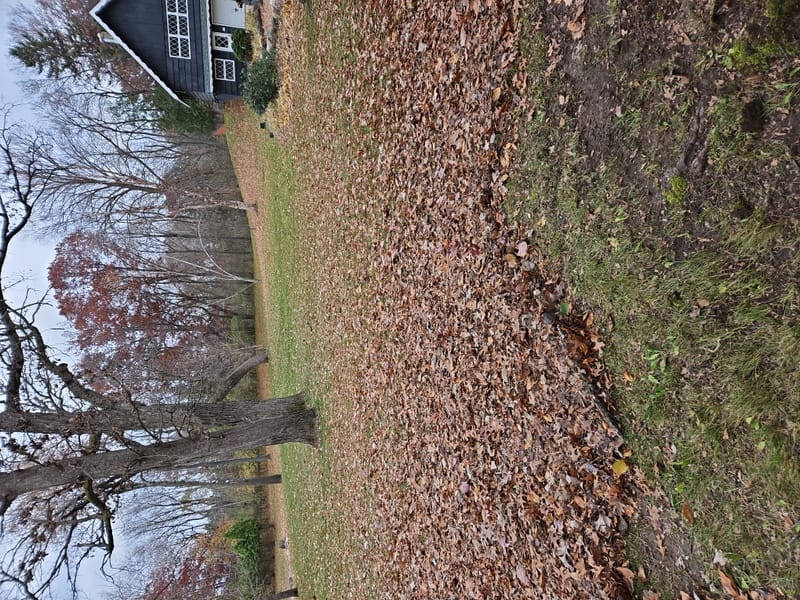 Spring &amp; Fall Cleanups