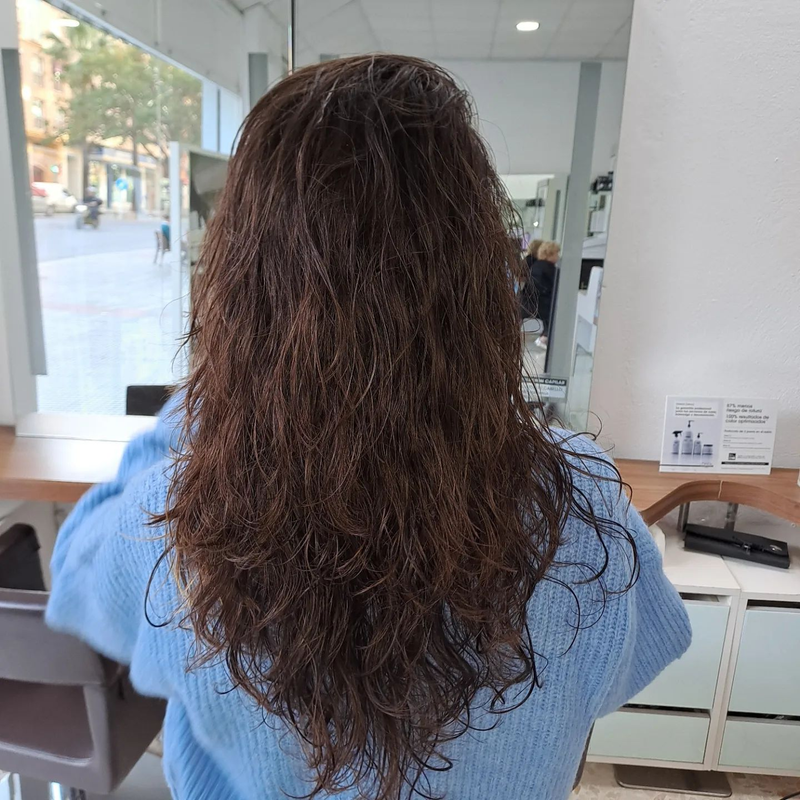 Lavado, corte Precio+IVA