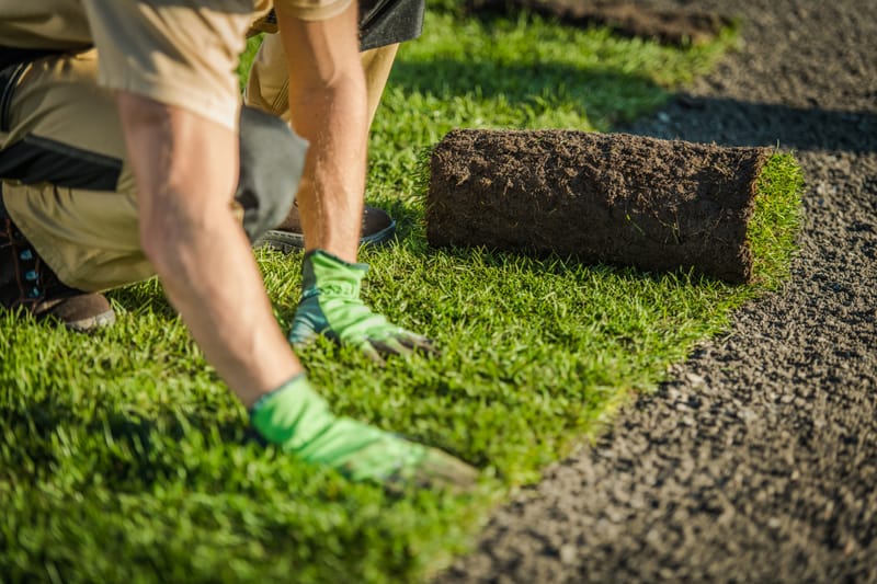 Elevating Landscaping Business Through Social Media Marketing