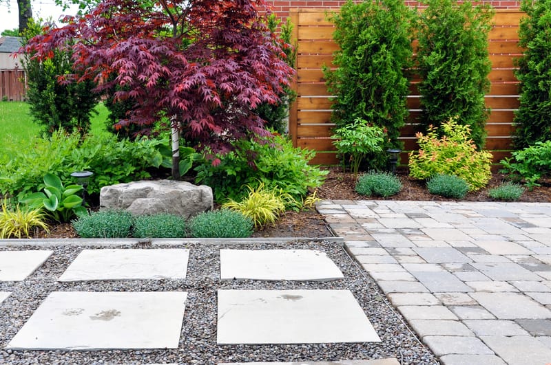 Garden Renovation