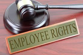 Employment Rights Case Scenario