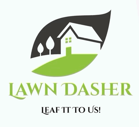 Lawn Dasher