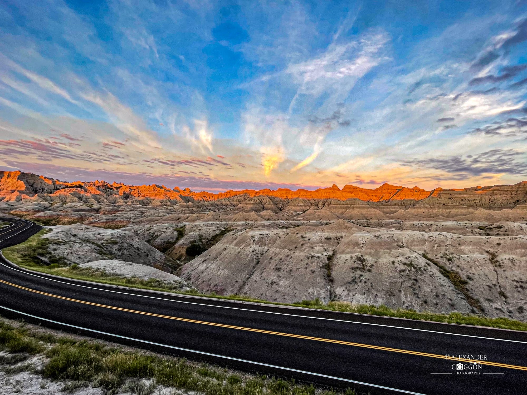 The Best Of The Natural World