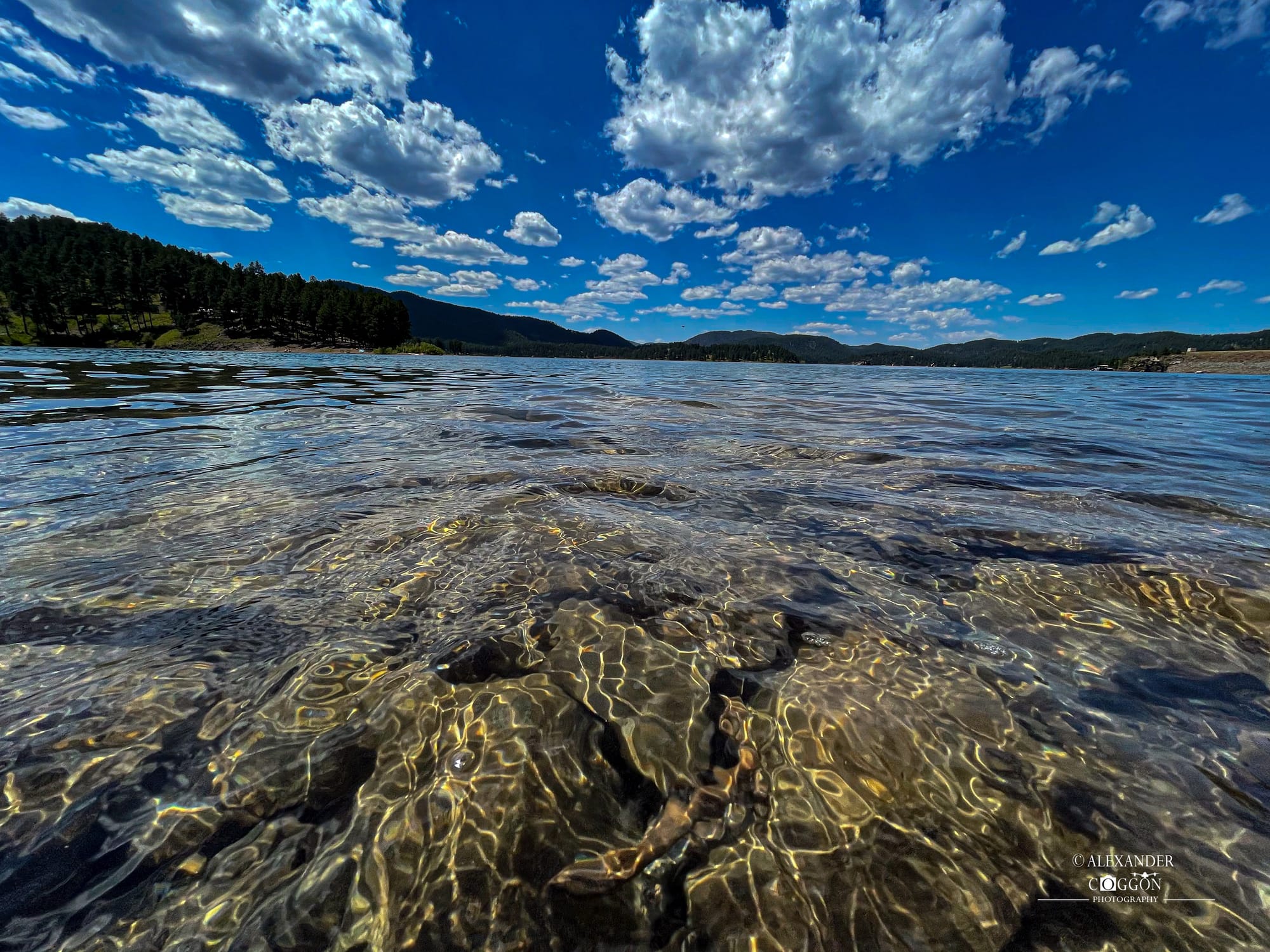 The Best Of The Natural World