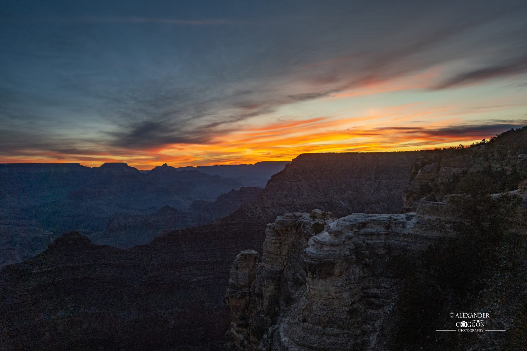 The Best Of The Natural World