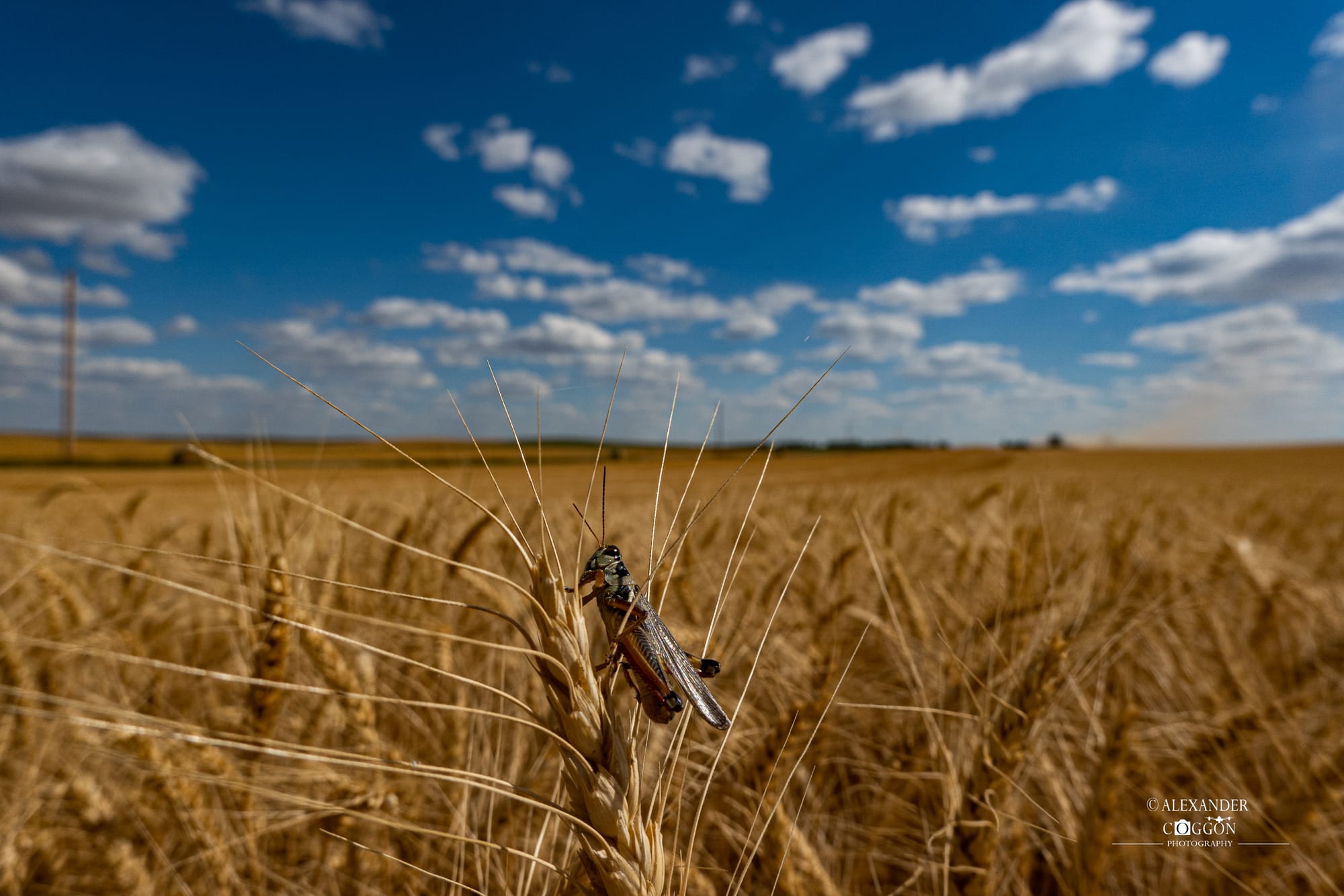 The Best Of The Natural World