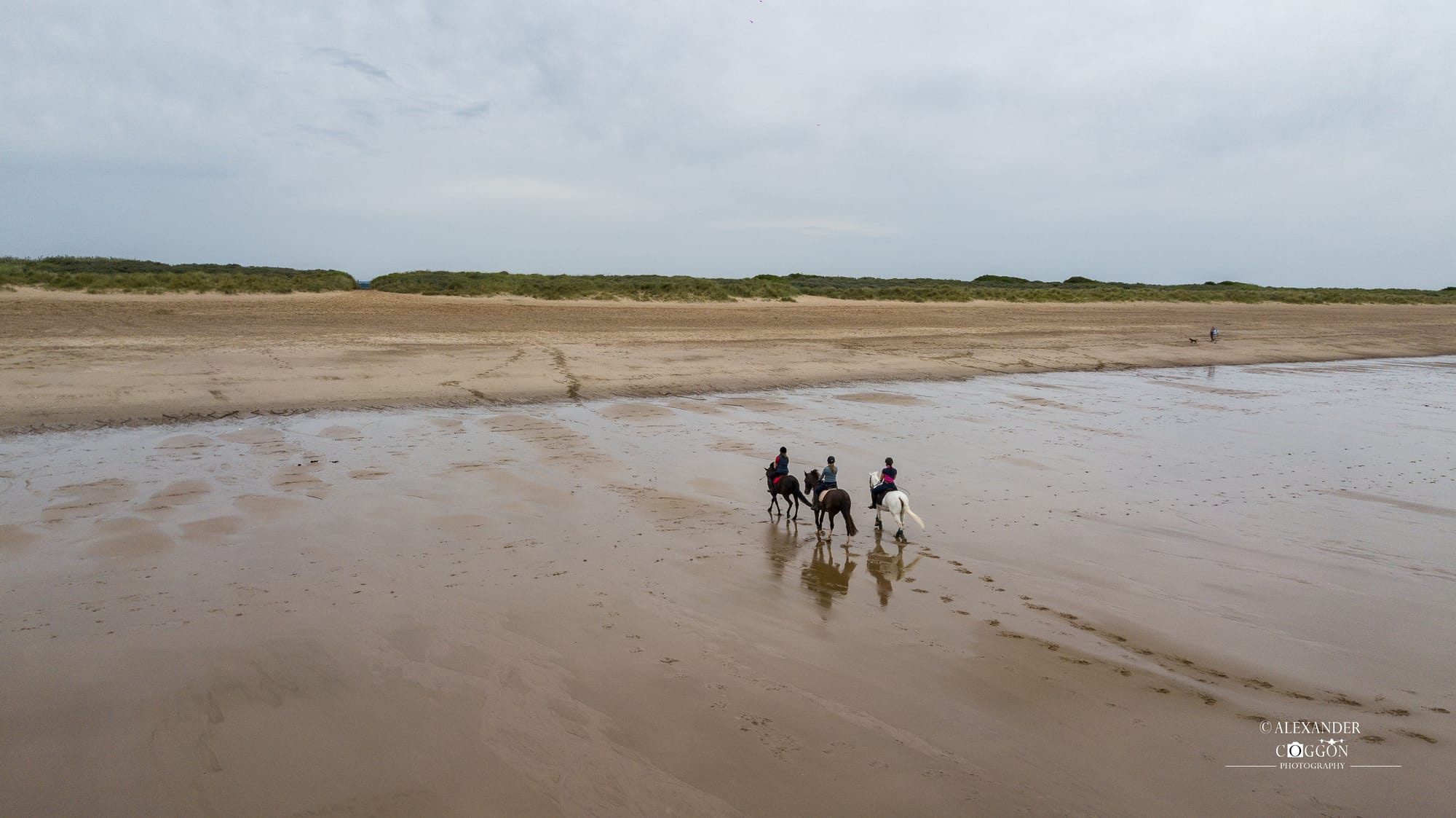 Horses On The Beach - Wolla Bank Beach - Lincolnshire 