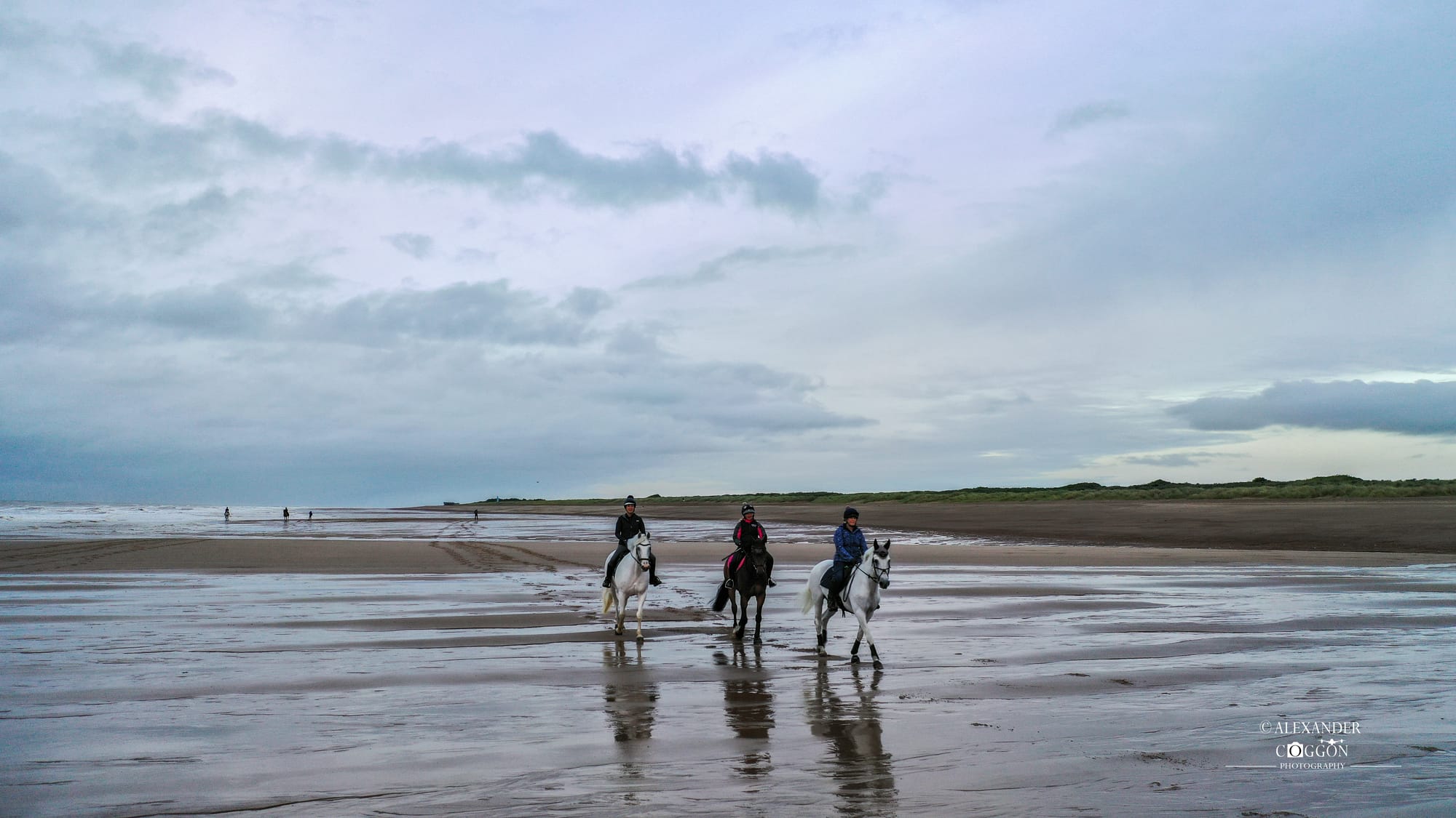 Horses On The Beach - Wolla Bank Beach - Lincolnshire 