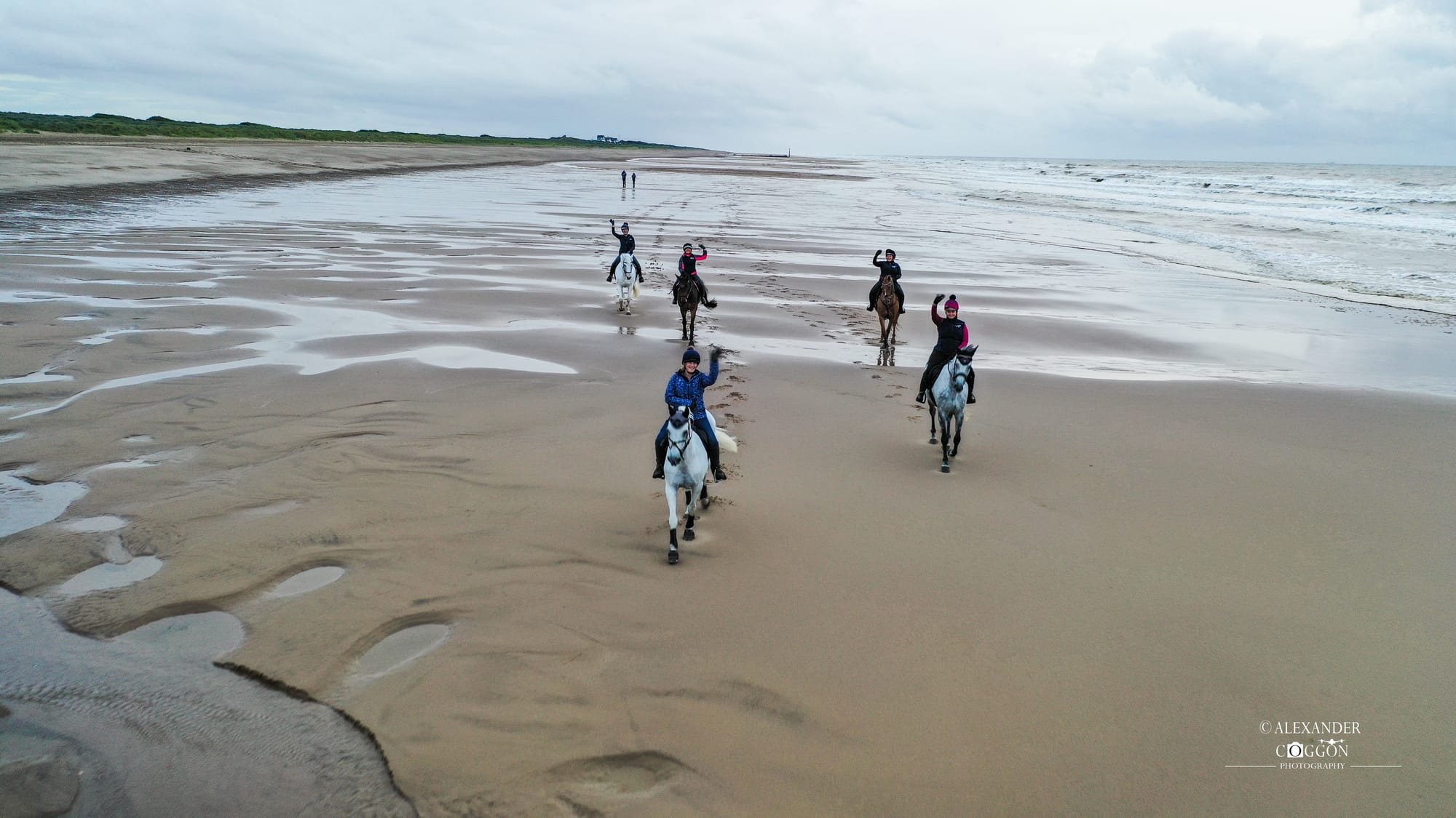 Horses On The Beach - Wolla Bank Beach - Lincolnshire 