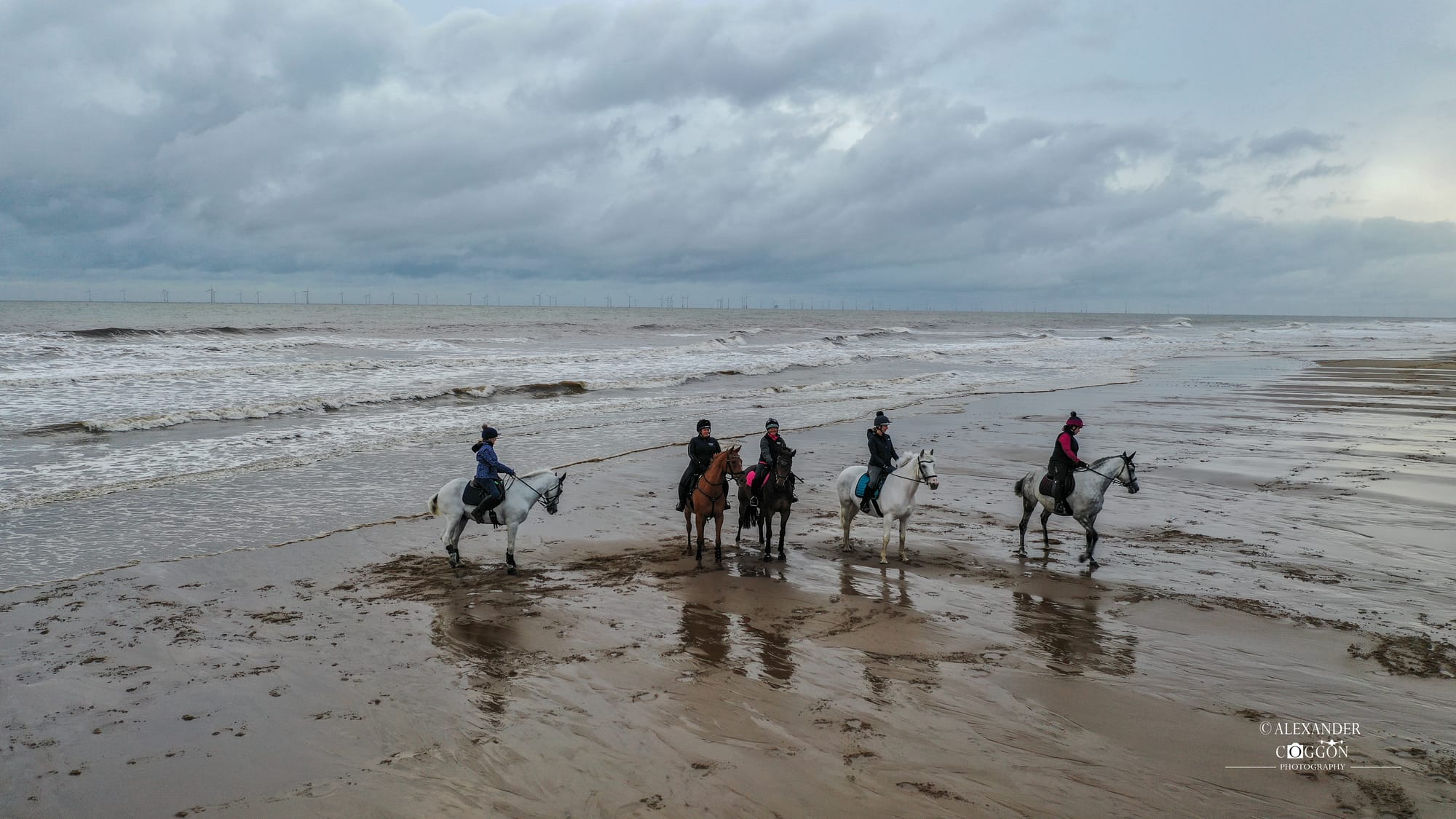 Horses On The Beach - Wolla Bank Beach - Lincolnshire 