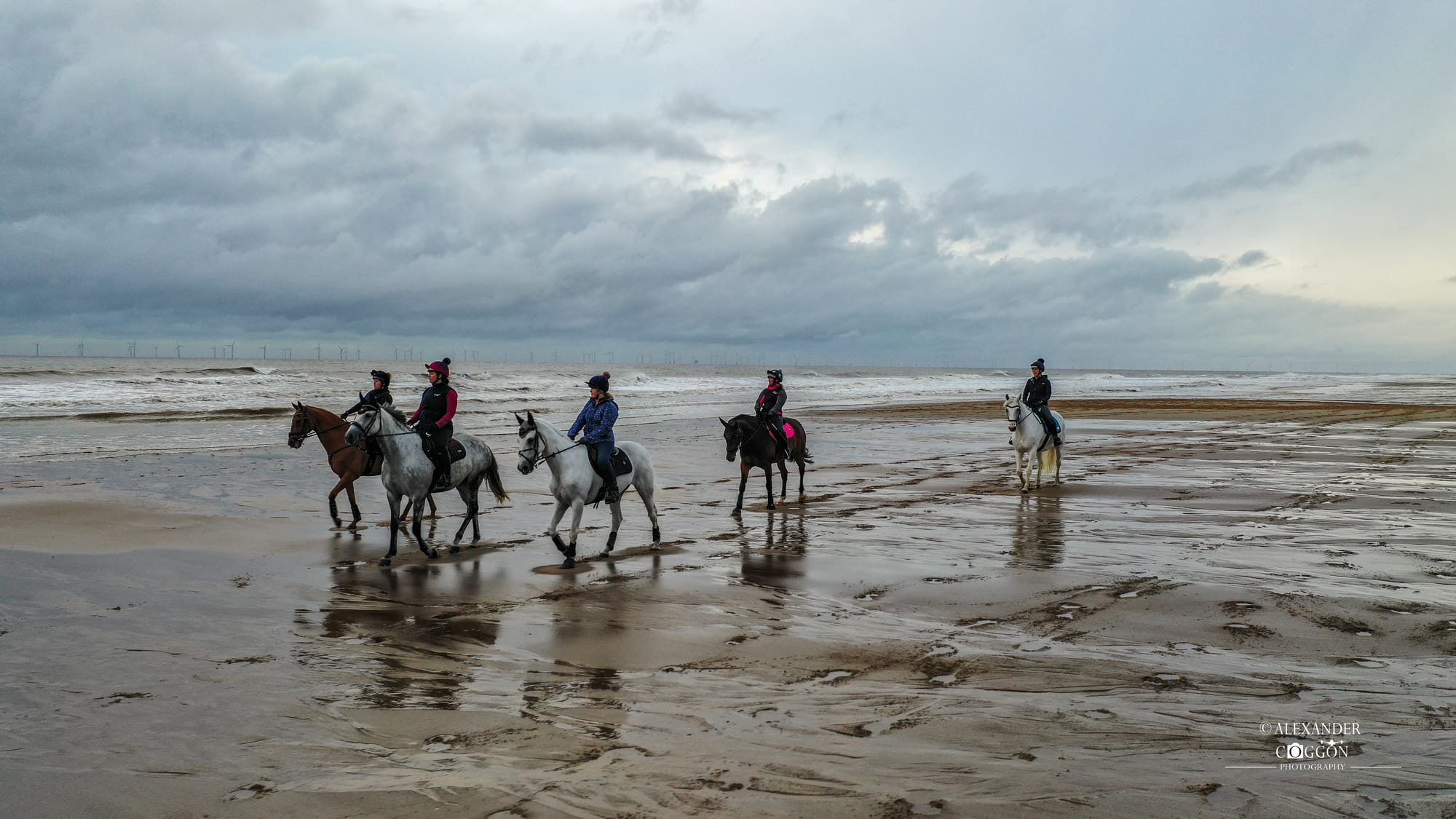 Horses On The Beach - Wolla Bank Beach - Lincolnshire 