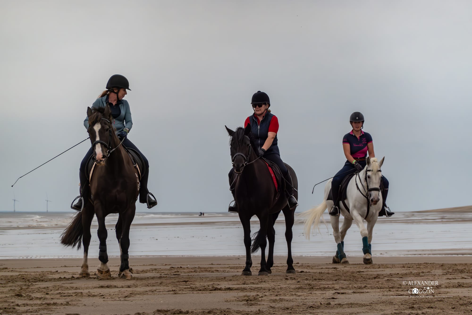 Horses On The Beach - Wolla Bank Beach - Lincolnshire 