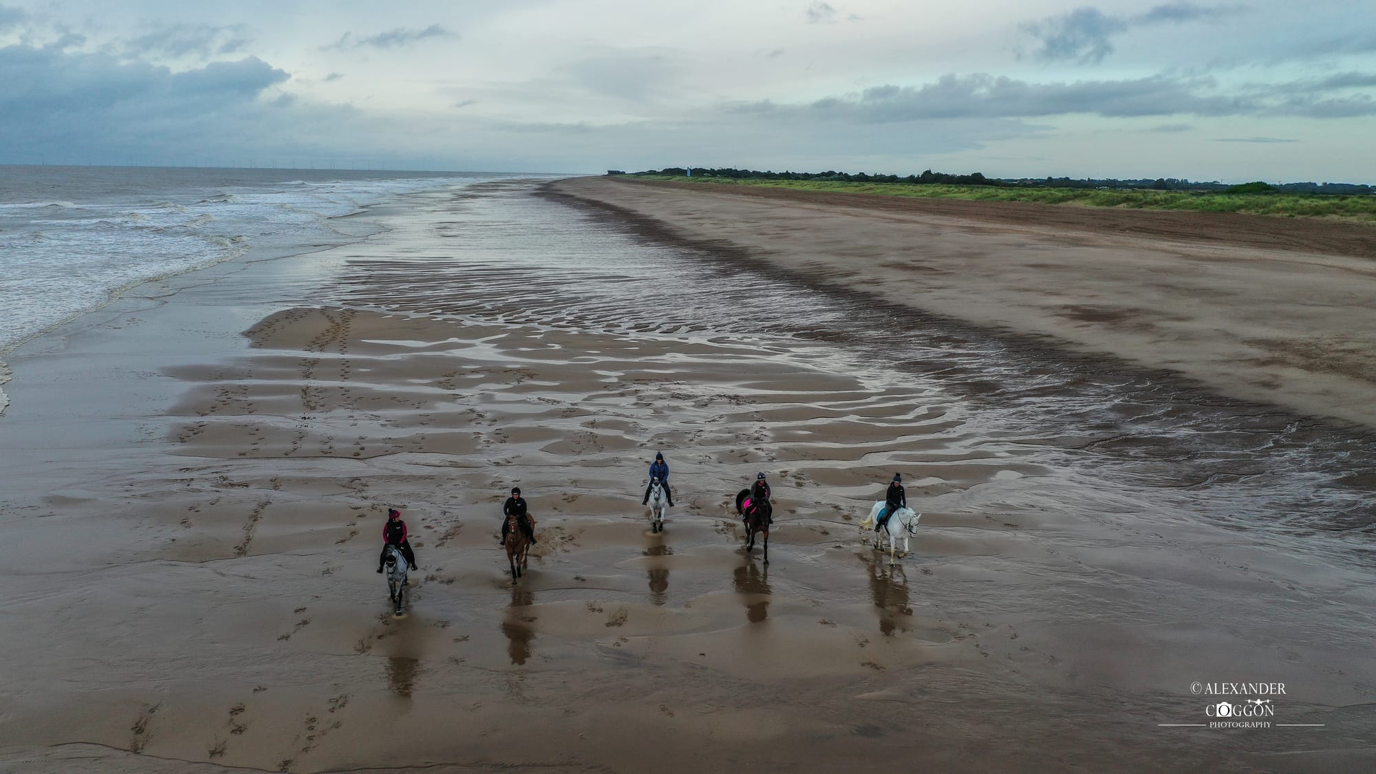 Horses On The Beach - Wolla Bank Beach - Lincolnshire 