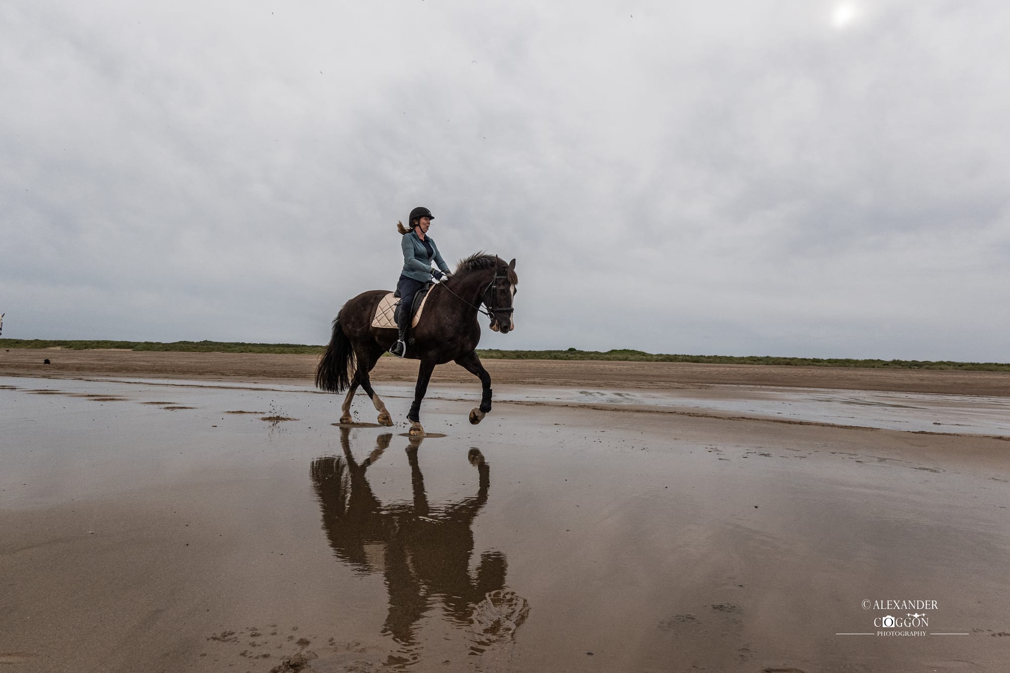 Horses On The Beach - Wolla Bank Beach - Lincolnshire 