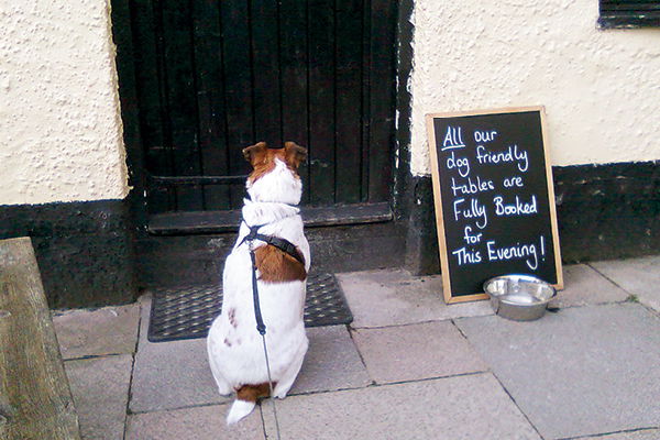 Hunden med til England