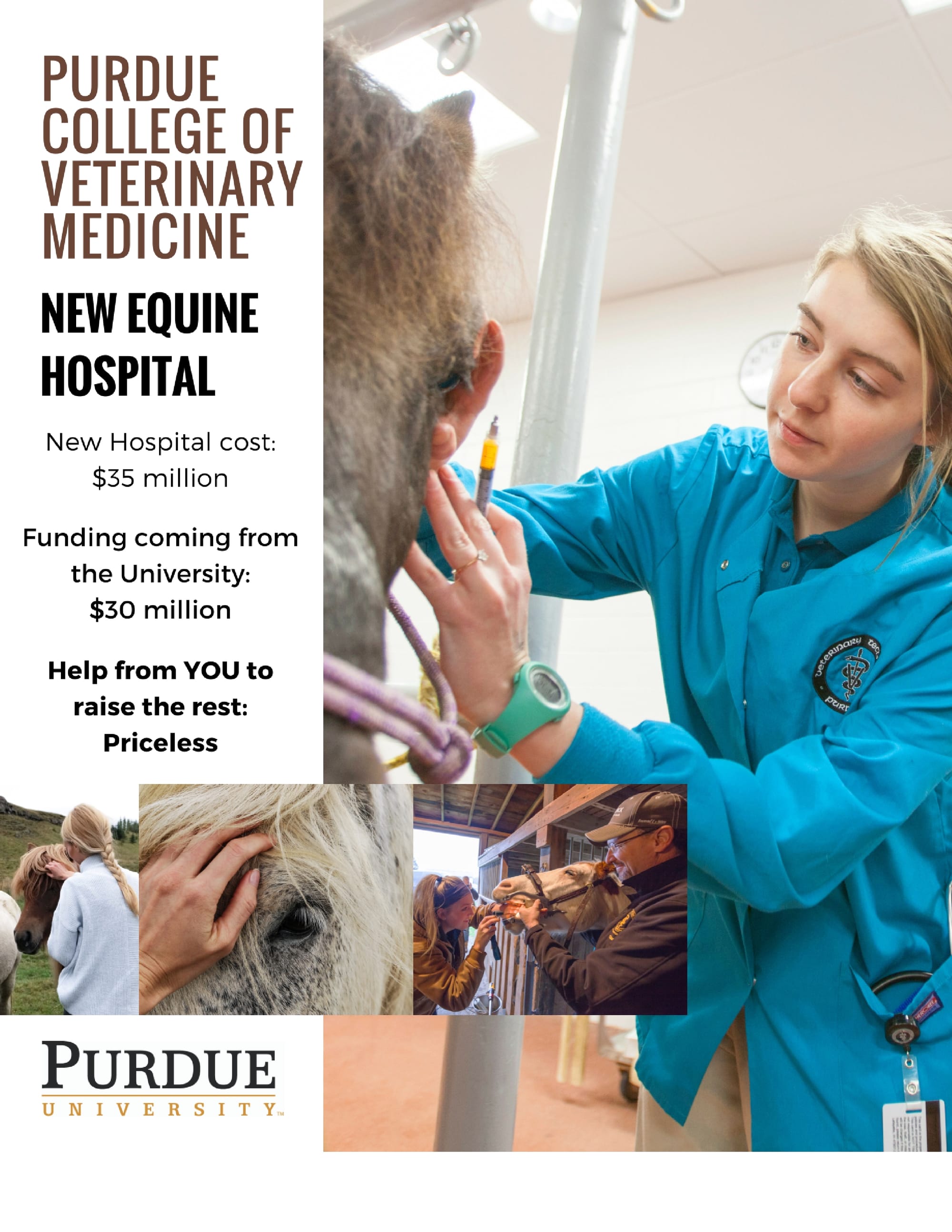 PVM Equine Flyer