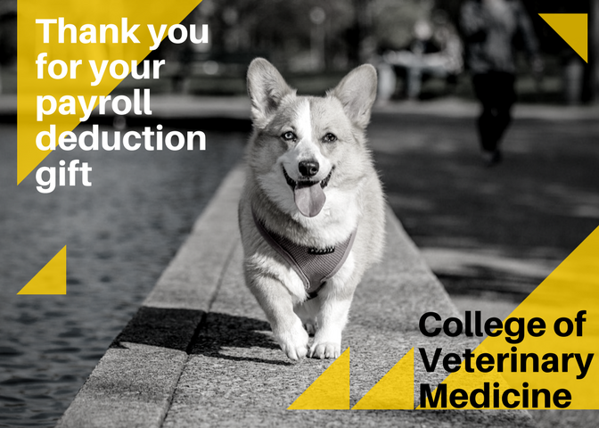 Payroll Deduction Thank You Card