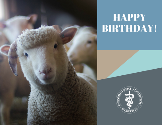 PVM Birthday Card 2018