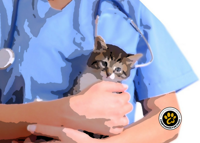 Compassion Fur Paws - Grateful Client Program