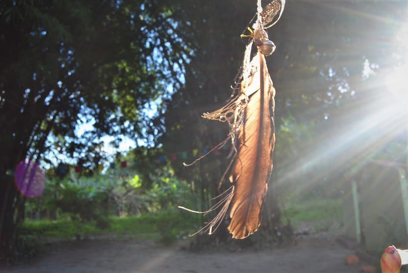 Inflexible identity - concepts and prejudices